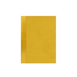 Folder Plástico Oficio con Tapa Transparente