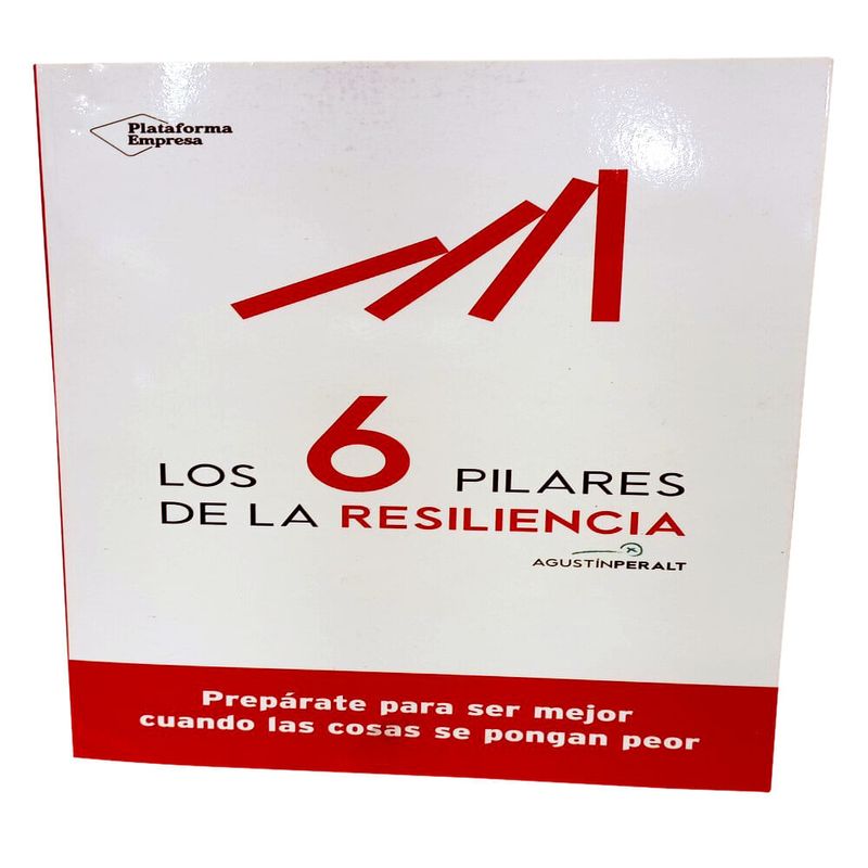 Los-6-Pilares-de-la-Resilencia