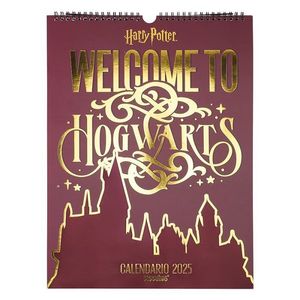 Calendario 2025 Harry Potter Ref.1419222