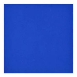 Foamy Liso 65cmx90cm Azul Rey Azu300u