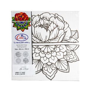 Bastidor Tela Mándala 30cmx40cm Flor 062-0070d