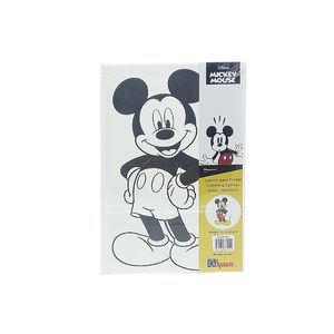 Bastidor Tela Infantil 20cmx30cm Mickey Ref. 083-0010