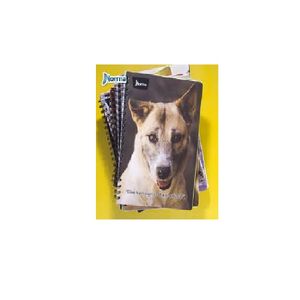 Cuaderno Espiral A4 200hjs Cuadros Pasta Dura Fundacion Pae