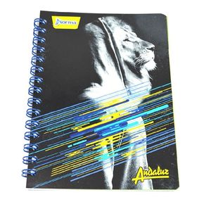 Cuaderno Espiral A5 100hjs 4 Líneas Económico Andaluz Norma