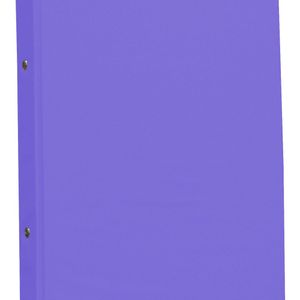 Carpeta De Cartón A4 2 Anillos