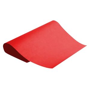 Cartulina Fina Burano Rojo Escarlata 200grs 50cmx65cm